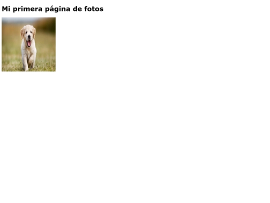 paginafotos screenshot