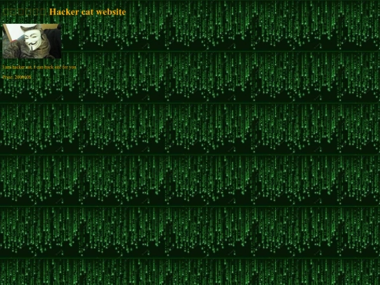 cat_hacker screenshot
