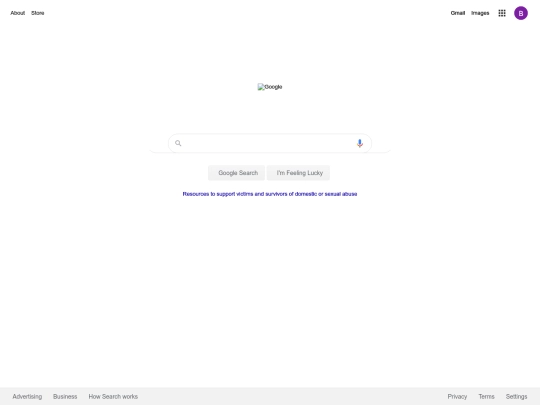google screenshot