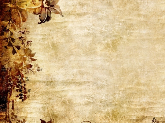 norhazlinda/banner screenshot