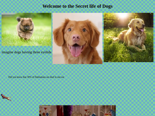 Isp webpage folder 1990 theme screenshot