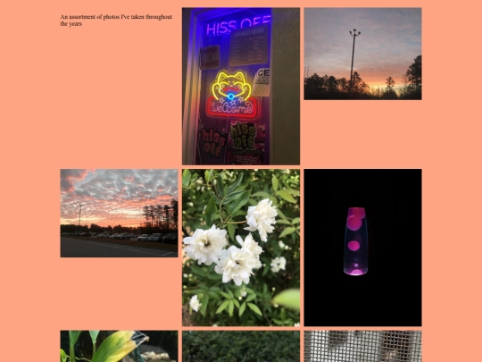 photography screenshot
