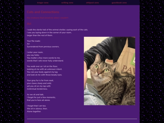 catsandconnections screenshot