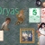 home avatar