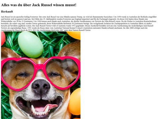 JackRussel screenshot