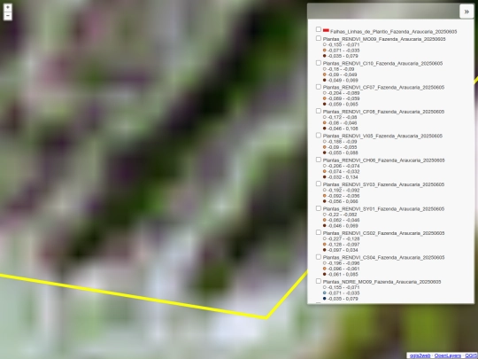 Fazenda_Araucaria_20250605 screenshot