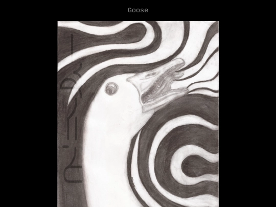 animal-drawings screenshot