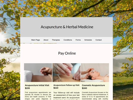 payonline screenshot