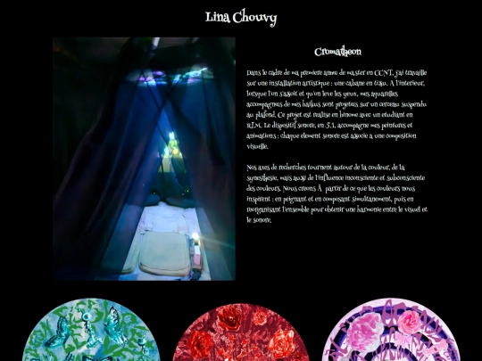 lina screenshot