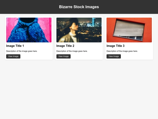 eccentric_image_exhibit screenshot