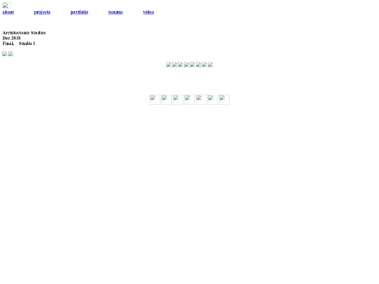 PROJECTS/archetectonic-studies screenshot