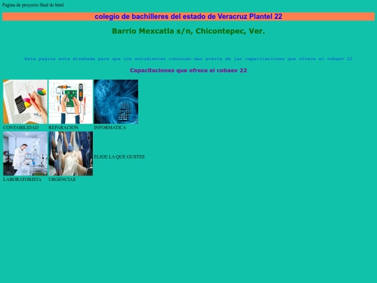 proyecto final HTML screenshot