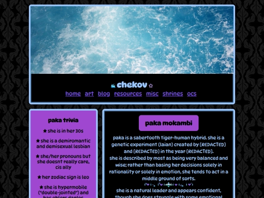 paka screenshot