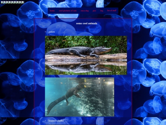 animals screenshot