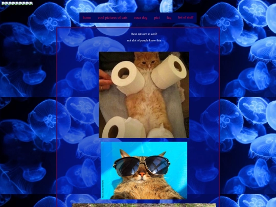 cats screenshot
