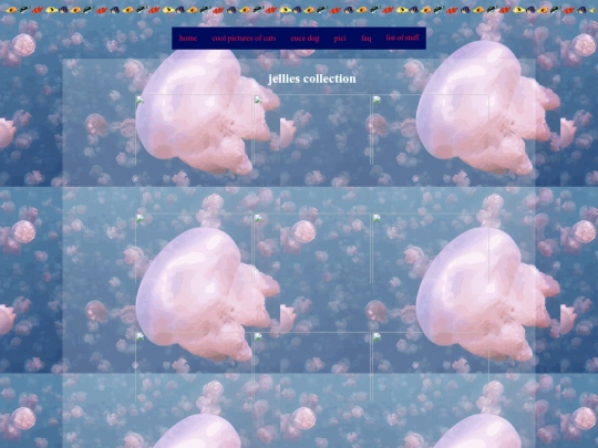 jellyfish screenshot