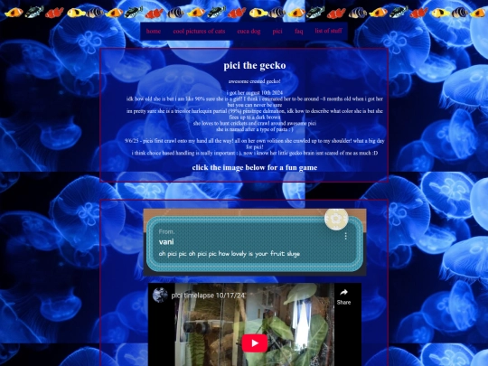 pici screenshot