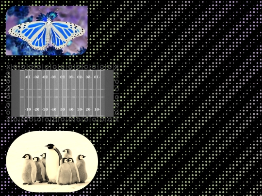 Web-Design-Stuff/Web-Design-Imitation-Images-Alli-Tuma screenshot