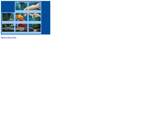 Web-Design-Stuff/Web-Design-Puzzle-Alli-Tuma screenshot