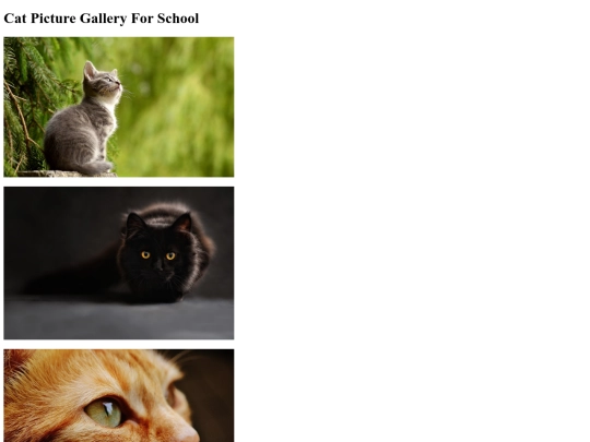 Web-Design-Stuff/Web-Design-Starter-Gallery-Alli-Tuma screenshot