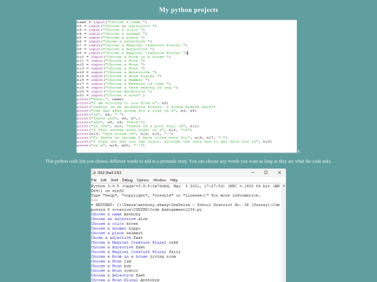 Python Web screenshot