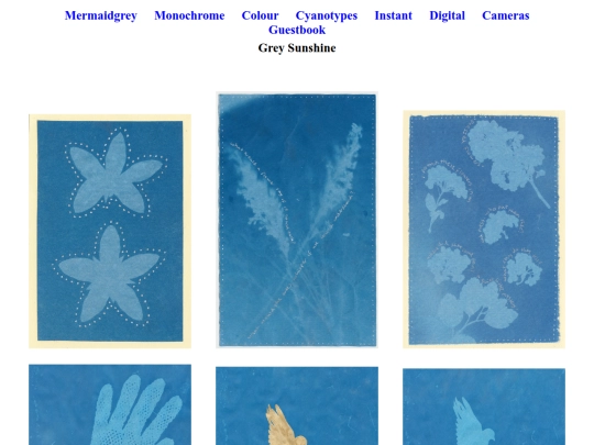 cyanotypes screenshot