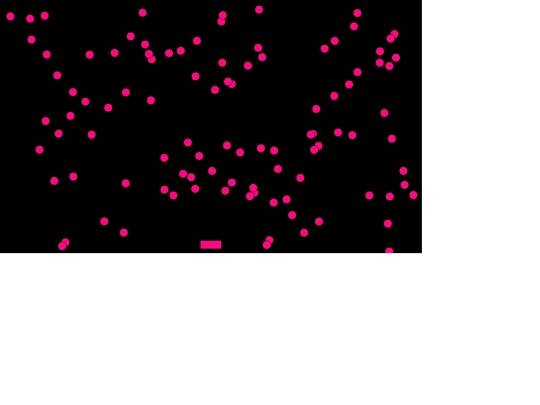 game/step3 screenshot