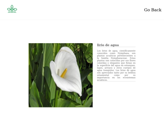 lirio screenshot