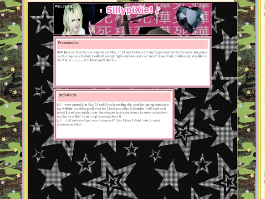 diary screenshot