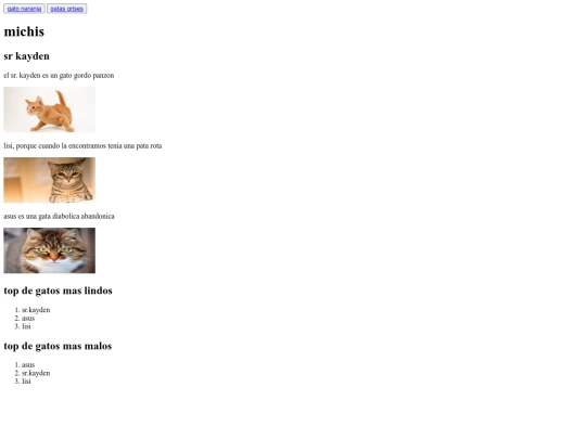 curso_html/html screenshot