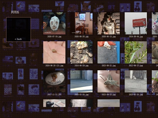 doghouse/fotos screenshot