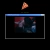 the highest point avatar