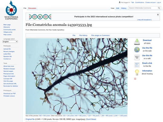 wikimedia screenshot