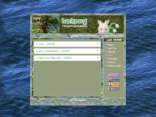 blog screenshot