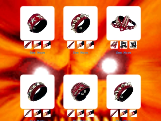 display screenshot