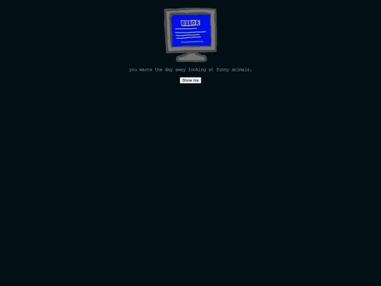 computer screenshot