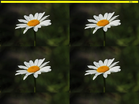 Pruebas/1 screenshot