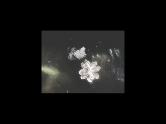 home screenshot