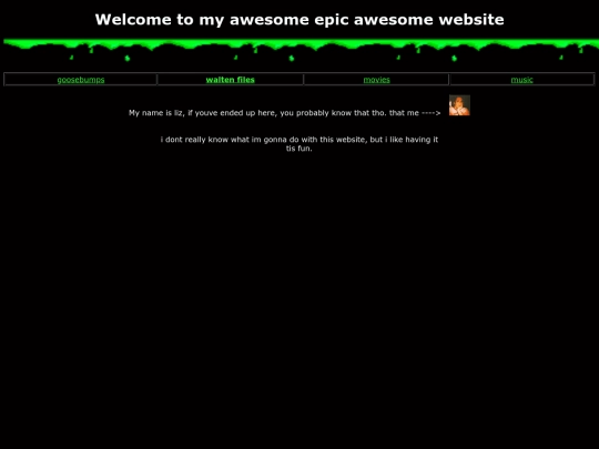 The web site of liziscool screenshot