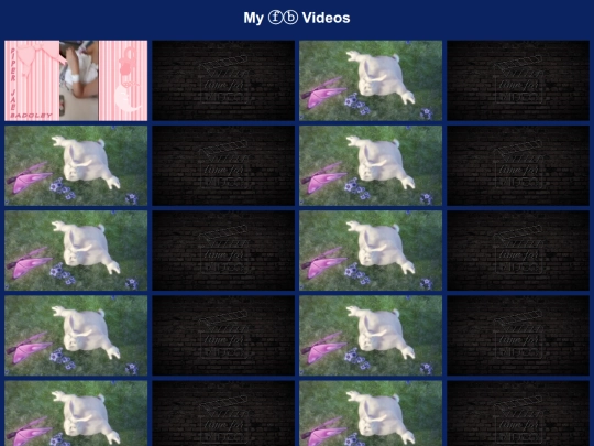 MyVideos screenshot