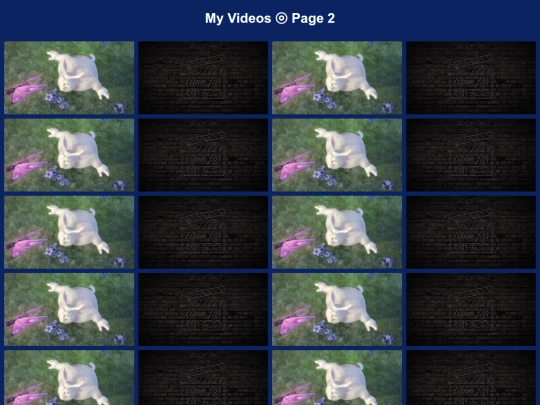 video2 screenshot