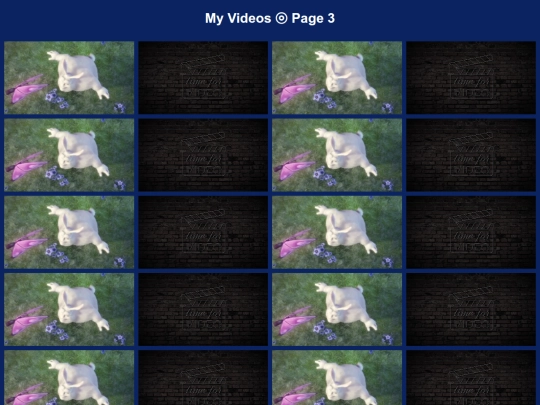 video3 screenshot