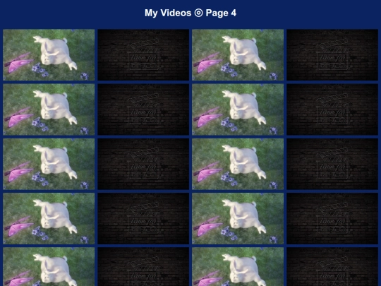 video4 screenshot