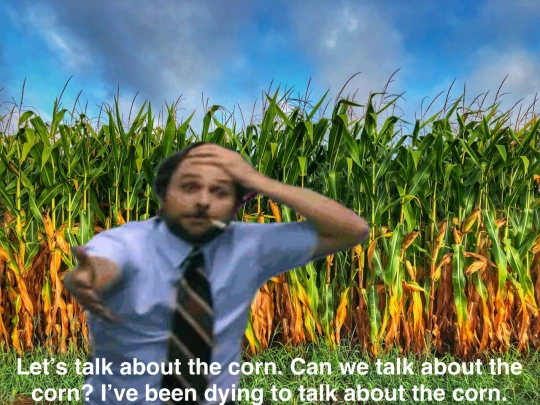 MaizeMaze screenshot