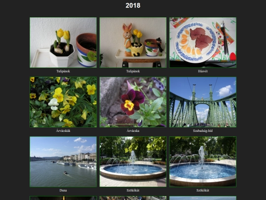 2018/2018 screenshot