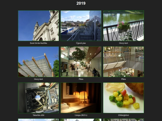 2019/2019 screenshot