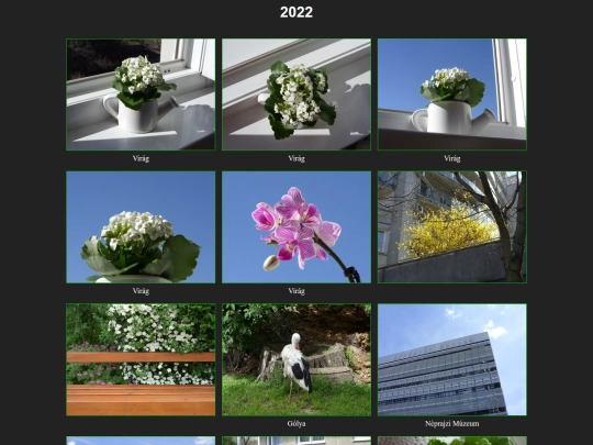 2022/2022 screenshot