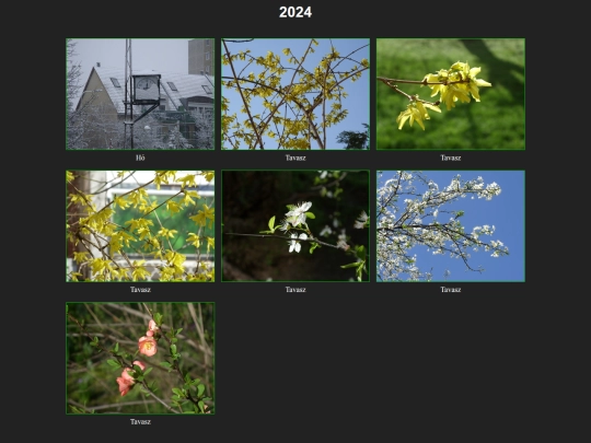 2024/2024 screenshot