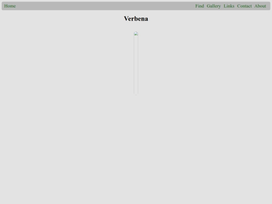 plants/Verbena screenshot