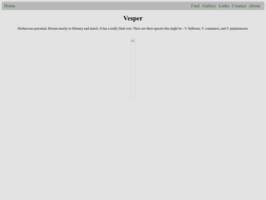 plants/Vesper screenshot
